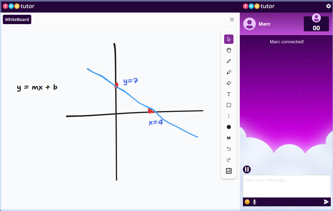 FEV Tutor screenshot